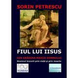 Fiul lui Iisus din gradina Maicii Domnului. Hronicul trecerii prin viata si prin moarte - Sorin Petrescu, editura Eliteratura