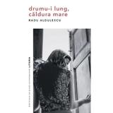 Drumu-i lung, caldura mare - Radu Aldulescu, editura Litera