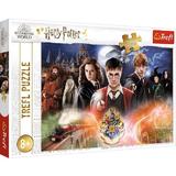 Puzzle 300. Secretul lui Harry Potter