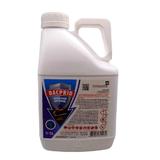 Insecticid Universal, Elimina Insectele Dacprid, 5l