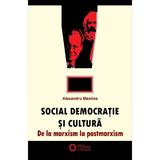 Social democratie si cultura - Alexandru Mamina, editura Cetatea De Scaun