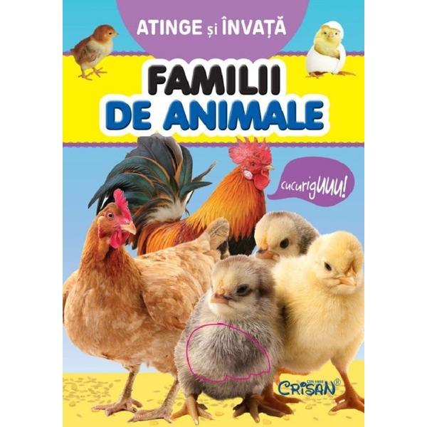 Atinge si invata. Familii de animale - Tony Wolf, editura Crisan