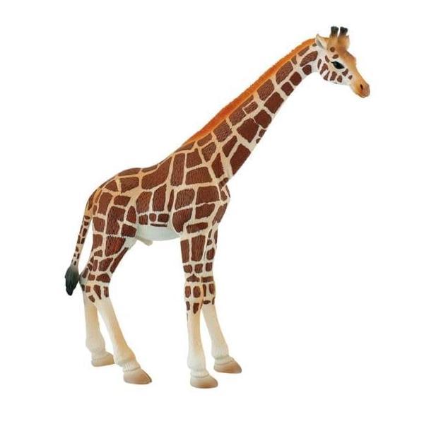 Figurina girafa mascul
