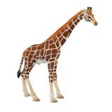 Figurina Girafa mascul