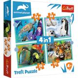 Puzzle 4 in 1. Animal Planet: Misterioasa lume a animalelor