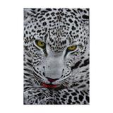 Covor Kolibri Leopard 11122, 80x150 cm, 2300 gr/mp