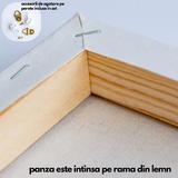 kit-pictura-pe-numere-panza-rama-lemn-pensule-si-culori-acrilice-40x50-cm-muzica-m913-4.jpg