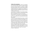 bunicul-si-doi-delincventi-minori-un-bunic-si-o-biata-aventura-petre-salcudeanu-3.jpg