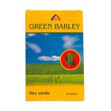 SHORT LIFE - Orz Verde American Lifestyle, 30 tablete
