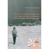 Cuantificarea bugetului de sedimente si determinarea ratelor de denudatie in Valea Doamnei, Muntii Fagarasului - Adrian-Cristian Ardelean, editura Universitatea De Vest