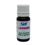 Ulei esențial de Lavanda, Sas, 10 ml