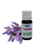 ulei-esen-ial-de-lavanda-sas-10-ml-2.jpg