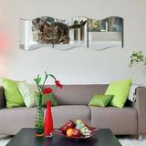 oglinzi-acrilice-decoratiuni-pentru-interior-19x17cm-oem-set-9-buc-5.jpg