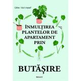 Inmultirea plantelor de apartament prin butasire - Celine, I do it myself