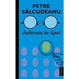 Judecata de Apoi - Petre Salcudeanu, editura Publisol