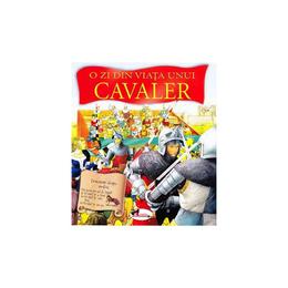 O zi din viata unui cavaler - andrea hopkins, editura aramis