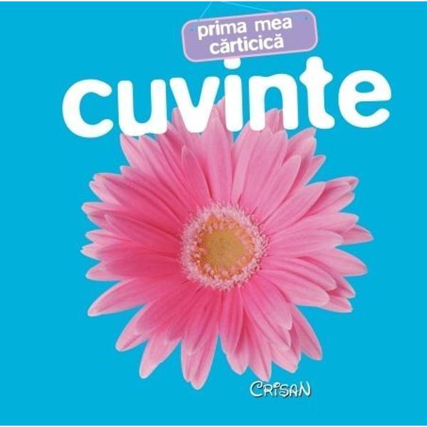 Prima mea carticica: Cuvinte, editura Crisan
