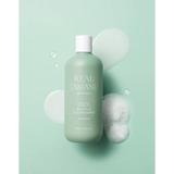 sampon-de-par-cu-ulei-de-tamanu-rated-green-real-tamanu-cold-press-tamanu-oil-soothing-scalp-shampoo-400-ml-4.jpg