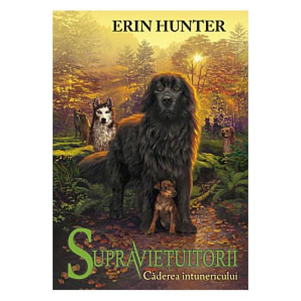 Supravietuitorii. Vol. 3: Caderea intunericului - Erin Hunter, editura All