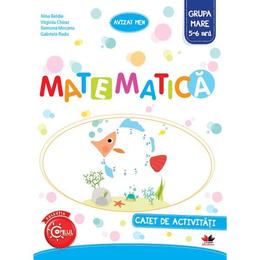 Matematica - Caiet de activitati - Grupa mare 5-6 ani - Nina Beldie, editura Litera