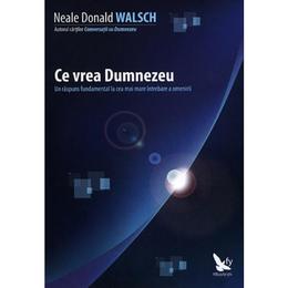 Ce vrea Dumnezeu - Neale Donald Walsch, editura For You