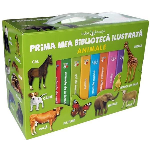 Prima Mea Biblioteca Ilustrata: Animale. Bebe Invata (cutie Cu 8 Carticele)
