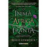 O inima apriga si franta Vol.2 din Seria Distrugatorii de blesteme - Brigid Kemmerer