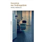 Incotro ne indreptam - Pavel Nedelcu, editura Litera