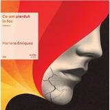 Vinil: Ce-am pierdut in foc - Mariana Enriquez, editura Grupul Editorial Art