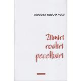 Uimiri, rostiri, pecetluiri - Siluana Vlad, editura Doxologia