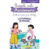 Povestile mele Montessori. Invat sa numar si sa calculez: La plimbare in padure. Nivelul 3 - Delphine Urvoy, editura Didactica Publishing House