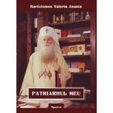Patriarhul meu - Bartolomeu Valeriu Anania, editura Renasterea
