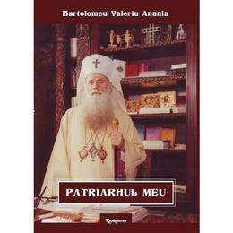 Patriarhul meu - Bartolomeu Valeriu Anania, editura Renasterea