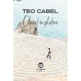 Obiect in plutire - Teo Cabel, editura Neuma