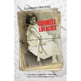 Crimele lui Alice - Guillermo Martinez, editura Rao