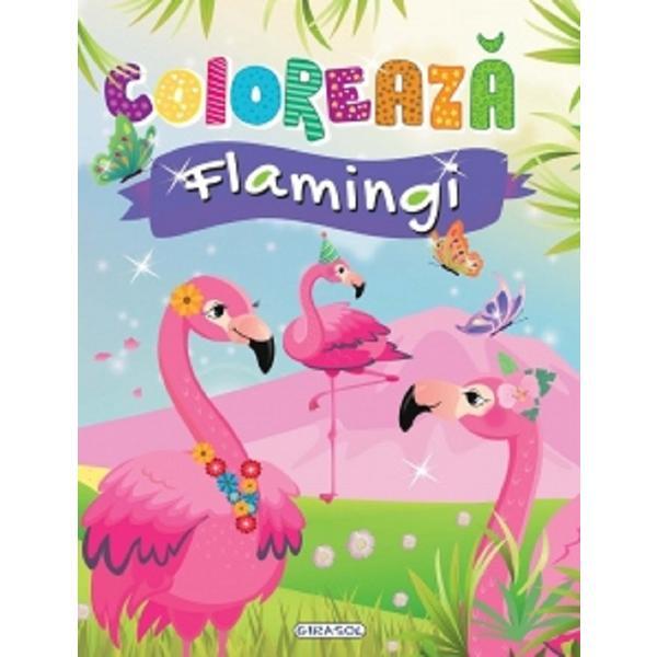 Coloreaza: flamingi, editura girasol