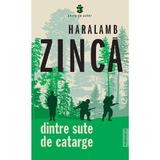 Dintre sute de catarge - Haralamb Zinca, editura Publisol