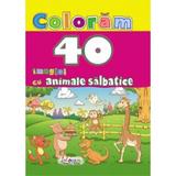 Coloram. 40 de imagini cu animale salbatice, editura Erc Press