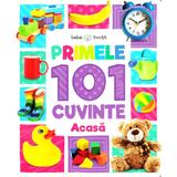 Primele 101 cuvinte: Acasa (Bebe invata), editura Litera