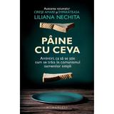 Paine cu ceva - Liliana Nechita, editura Humanitas