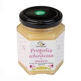 Propolis si echinaceea in miere by Dr. Ing. Cornelia Dostetan Abalaru apicultor, 225g