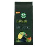 Cafea de plantatie macinata 100 % Arabica, BIO, 250g Lebensbaum 