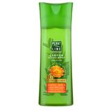 Sampon Reechilibrant cu Galbenele, Salvie si Coada Soricelului pentru Par Gras si Varfuri Uscate Plant Line Phytotheraphy, 400 ml