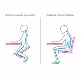 scaun-birou-ergonomic-tapiterie-roz-picioare-fag-groco-46x65x56-72-cm-3.jpg