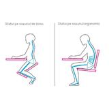 scaun-birou-ergonomic-tapiterie-gri-lemn-natur-renar-50x72x53-cm-3.jpg