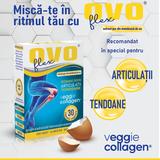 ovo-flex-extract-pur-din-membrana-de-ou-100-natural-alchida-30-capsule-1750659982468-1.jpg