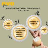 ovo-flex-extract-pur-din-membrana-de-ou-100-natural-alchida-30-capsule-1750659992476-1.jpg