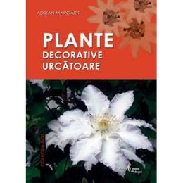 Plante decorative uscatoare - Adrian Margarit, editura Cetatea De Scaun