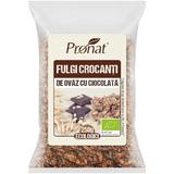 Fulgi Crocanti Bio De Ovaz Cu Ciocolata 250g