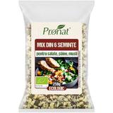 Mix Bio Din 6 Seminte Pentru Salate, Paine, Musli 250g